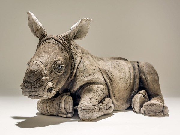 Baby Rhino - Nick Mackman - Paperclay